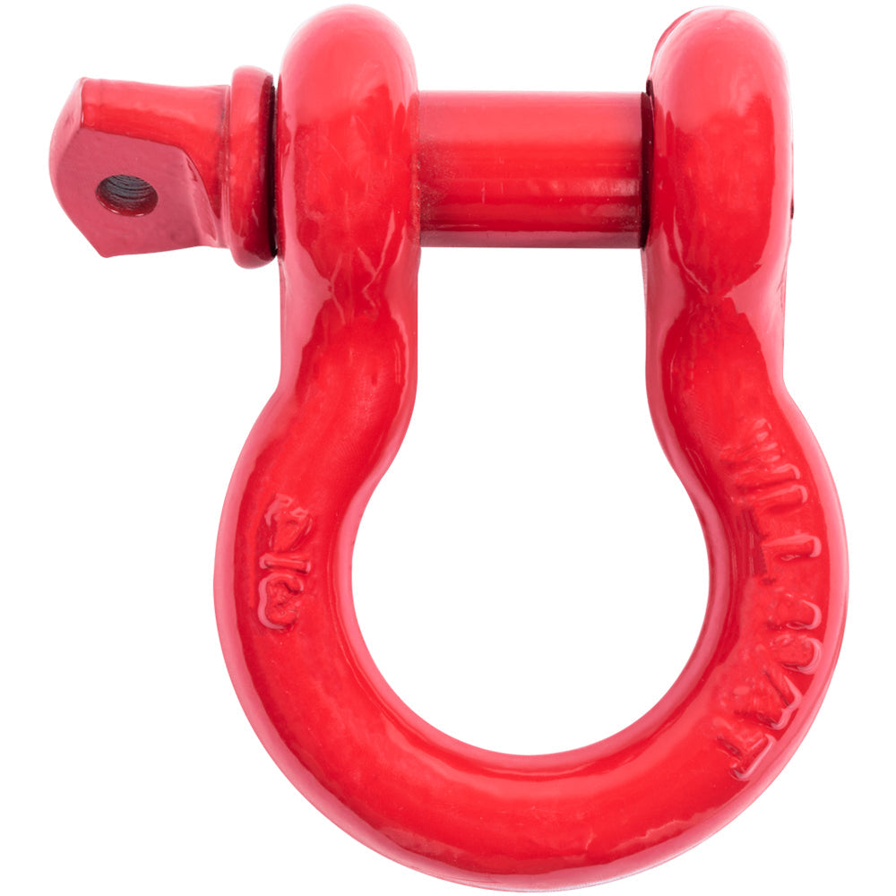 D-Ring 3/4" - For Use With 2" Shackle Block